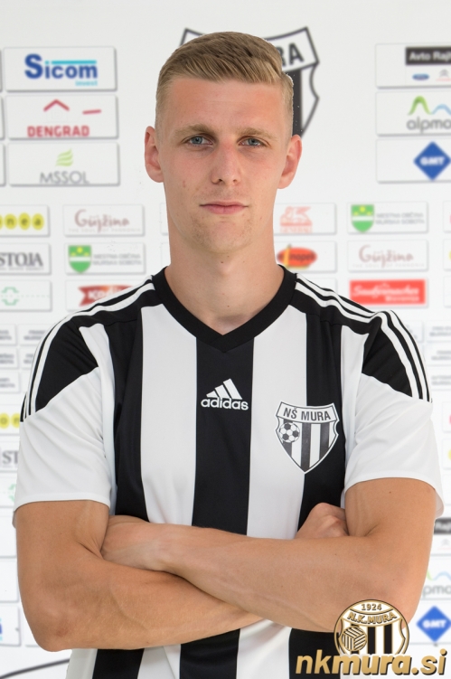 Zvonimi Žiger v letu 2017