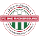 radkersburg_logo_web.png radkersburg_logo_web.png
