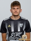 Henrik Nerguti Henrik Nerguti leta 2021