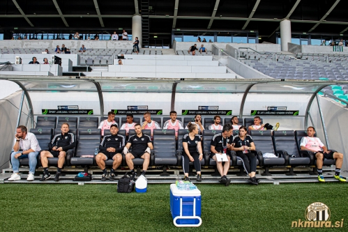 Murina klop v Stožicah. Murina klop v Stožicah.