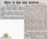 MuraBranik20_04_1952_Polet20_04_1952.jpg