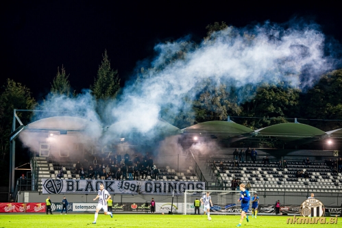 Black Gringosi na svojem standardnem mestu. Black Gringosi na svojem standardnem mestu.