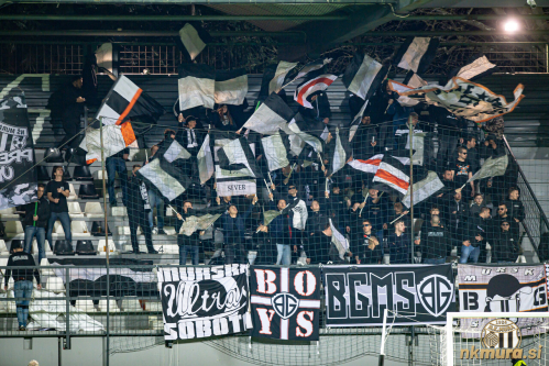 Black Gringosi Black Gringosi