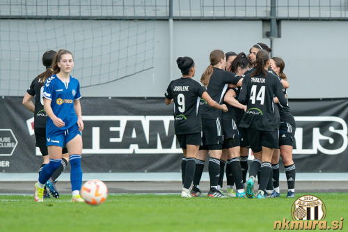 Veselje murašic. Veselje murašic.