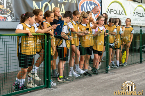 Mlade murašice - pobiralke žog. Mlade murašice - pobiralke žog.