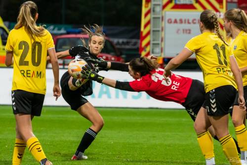 Gneča pred vrati Radomelj.