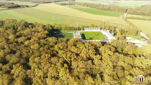 Fazanerija novembra 2023. Fazanerija novembra 2023.