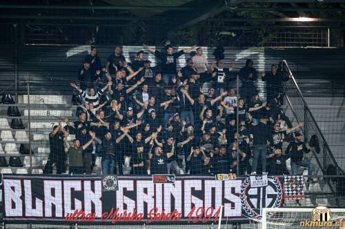 Vedno odlični Black Gringosi. Vedno odlični Black Gringosi.