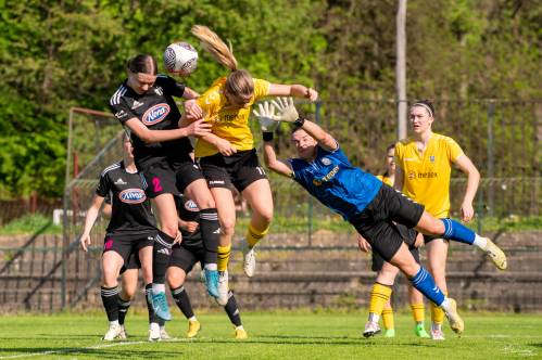 Gneča pred vrati Radomljank. Gneča pred vrati Radomljank.