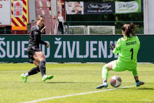 Šörc gol Kolblove. Šörc gol Kolblove.