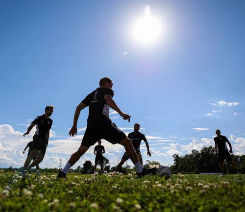 Trening murašev v ZDA. Trening murašev v ZDA.