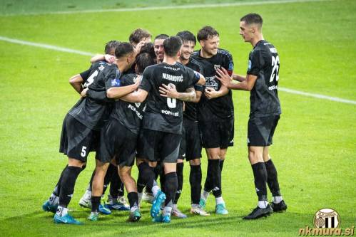 Veselje murašev ob doseženem zadetku. Veselje murašev ob doseženem zadetku.