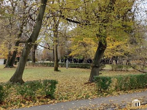 Gringosi v korzoju odhajajo proti Fazaneriji. Gringosi v korzoju odhajajo proti Fazaneriji.