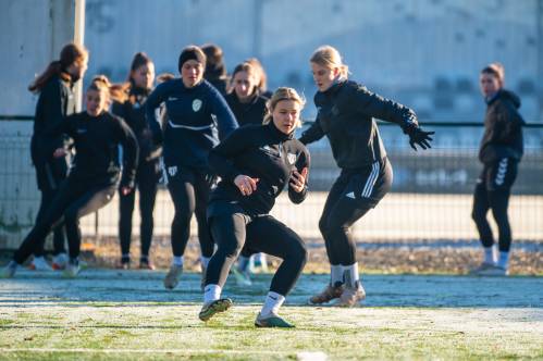 Noelle Vilčnik. Noelle Vilčnik.