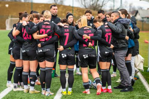 Murašice na igrišču v Radencih. Murašice na igrišču v Radencih.