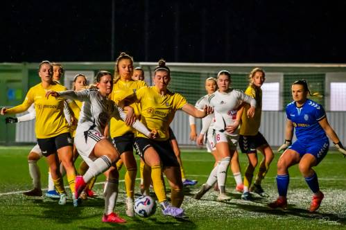 Gneča pred vrati Radomelj. Gneča pred vrati Radomelj.