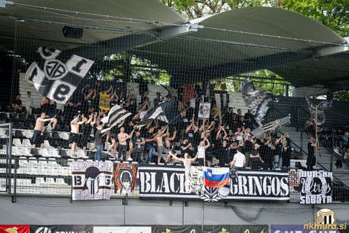 Black Gringos. Black Gringos.