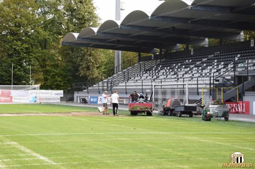 Sanacija travnate ruše.