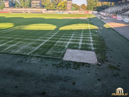 Sanacija travnate ruše.