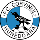 Corvinul Hunedoara