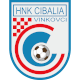 Cibalia