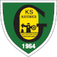 GKS_Katowice_crest.svg.png GKS Katowice.